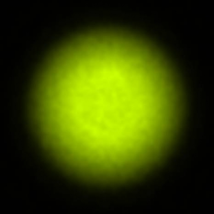 BRX_VrSE13b_NIO4262