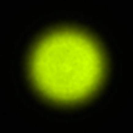 BRX_VrSE18d_NIO4152