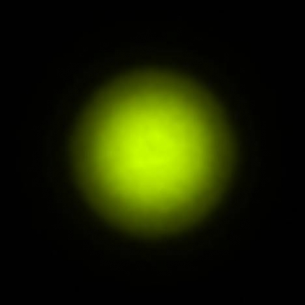 BRX_VrSE29c_NIO2845