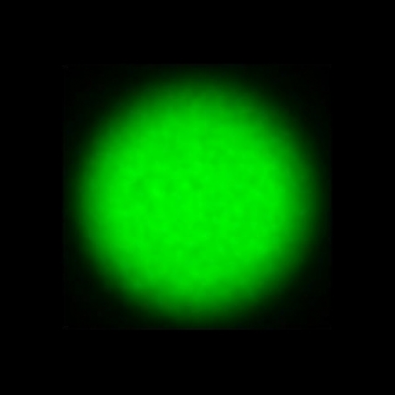 CTZ_CLU026V4a_NIO5873