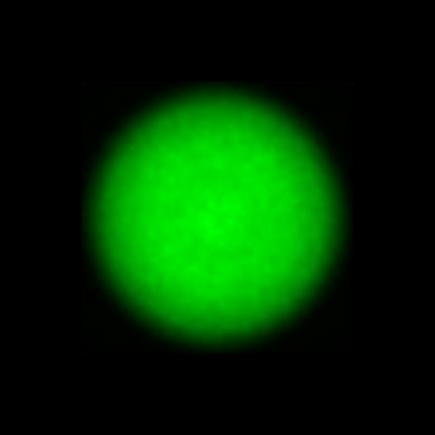 CTZ_CLU025V3a_NIO5573