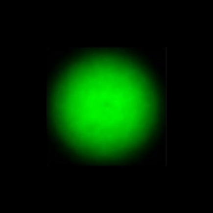 CTZ_CLU700VVDa_NIO4052